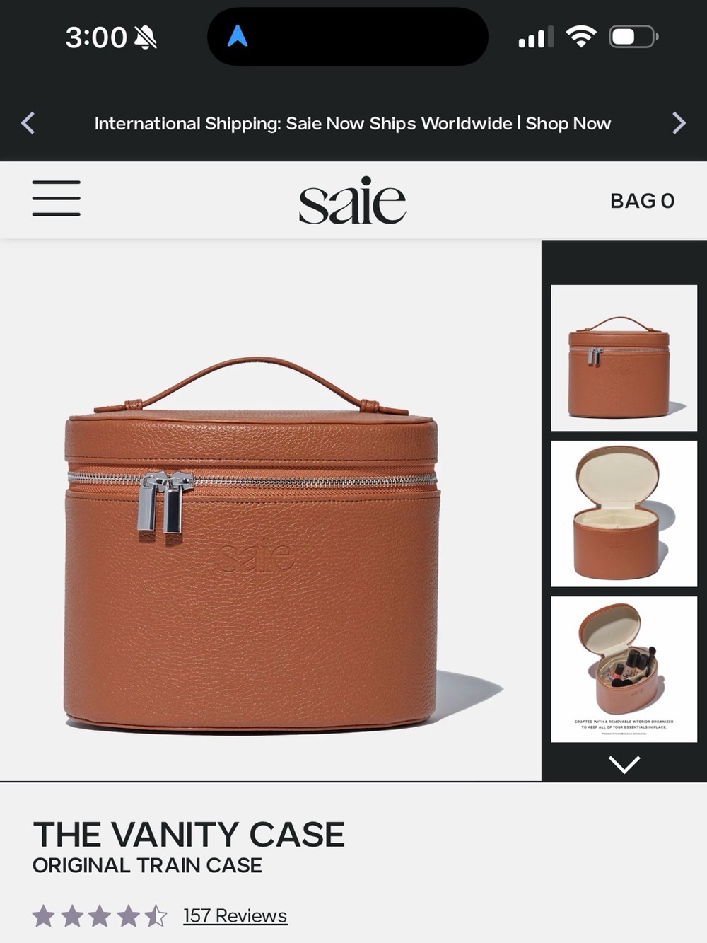 Saie Leather Vanity Case in Brown